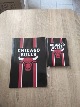 Diario Chicago Bulls NBA