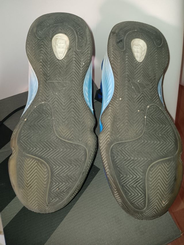 Zapatillas Adidas baloncesto azules