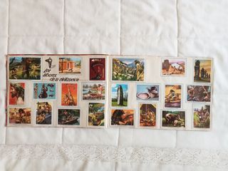 Álbum Cromos Vida y Color 2 Completo