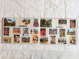 Álbum Cromos Vida y Color 2 Completo