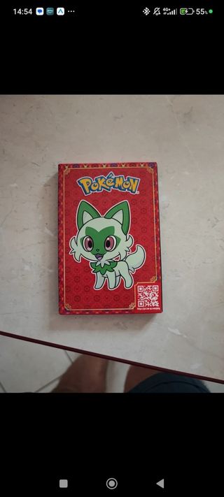Busta Lotta Express Pokemon