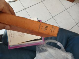 Libro raro bibi le congiurate