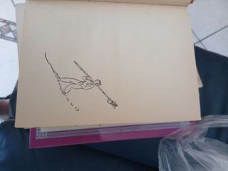 Libro raro bibi le congiurate