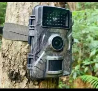 Cámara Caza Fototrampeo 32GB 
