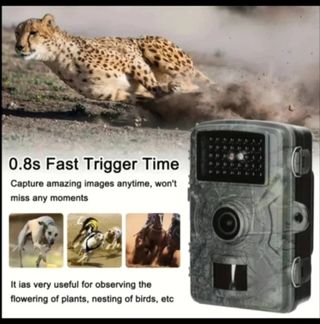 Cámara Caza Fototrampeo 32GB 