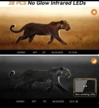 Cámara Caza Fototrampeo 32GB 
