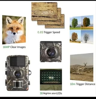 Cámara Caza Fototrampeo 32GB 