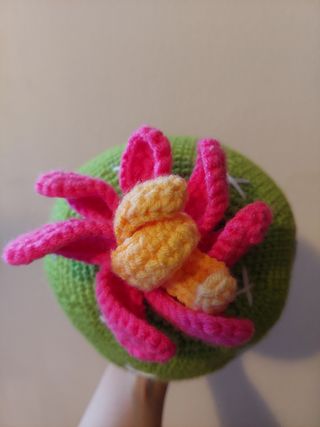 Cactus amigurumi kawaii
