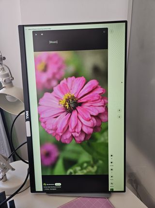 Monitor Dell vertical