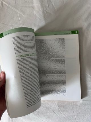 Principi di virologia medica