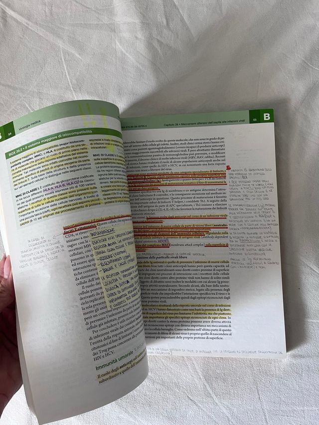 Principi di virologia medica