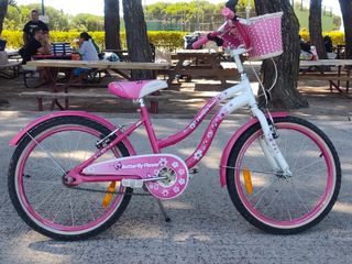 Bicicleta niña 20" Butterfly