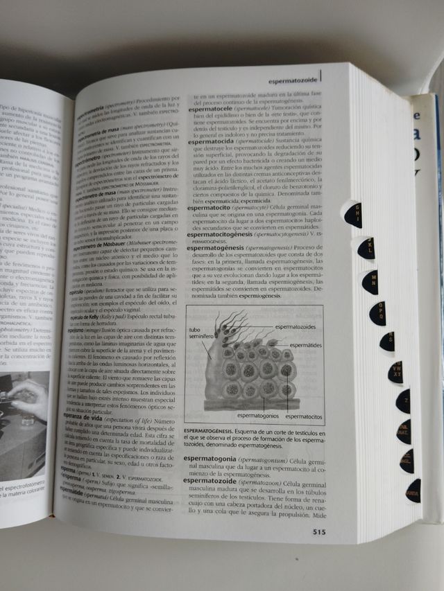 Diccionario de Medicina Oceano Mosby (Spanish E...