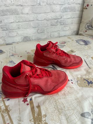 Zapatillas Lebron James Nxxt rojas