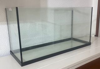 Acuario de cristal 80X30X43
95 litros