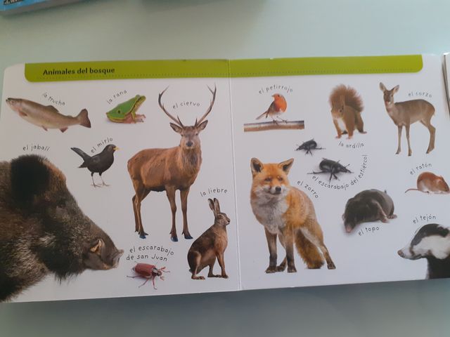 ANIMALES MI LIBRO MEMO - NGV