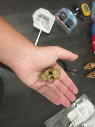 Accessori per acquari