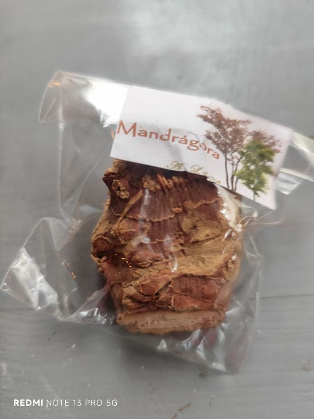 Ajo macho (3 bulbos)