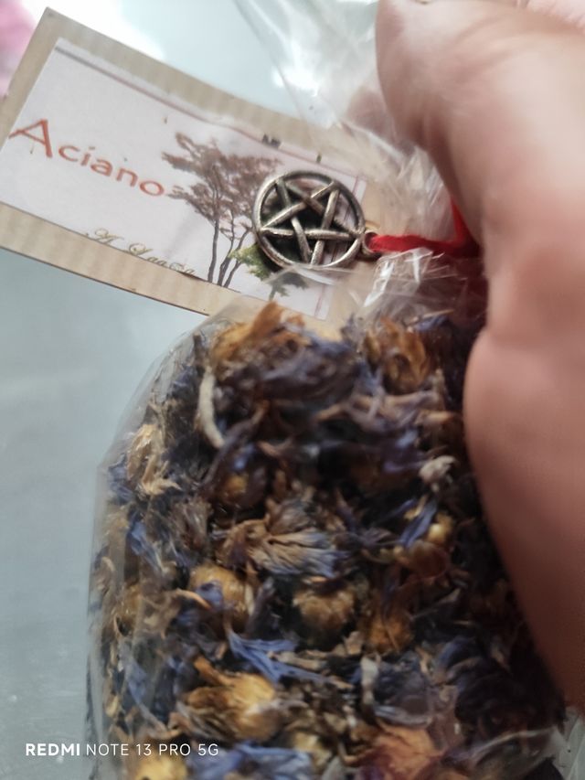 Ajo macho (3 bulbos)