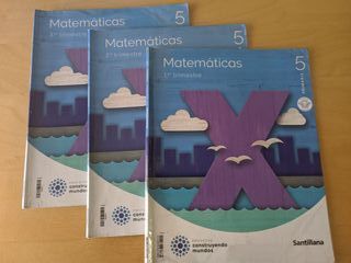 MATEMATICAS M LIGERA 5 PRIMARIA CONSTRUYENDO MU...