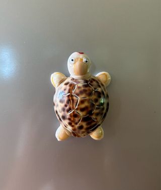 Iman nevera tortuga