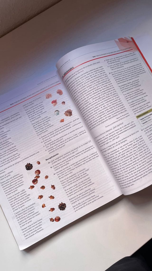 Lengua castellana y literatura 1 Bachillerato 