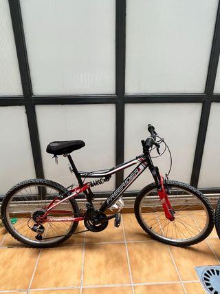 Bicicleta freerider