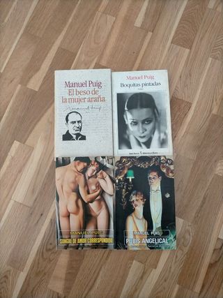 Lote Manuel Puig 