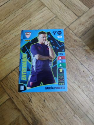 5 cromos Adrenalyn XL 2025 entrenadores