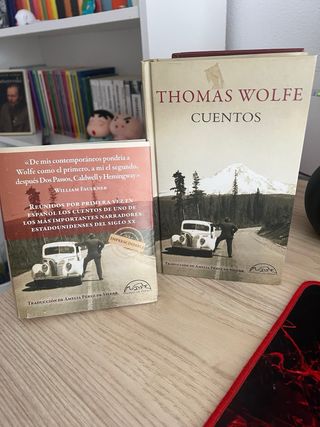 Cuentos de Thomas Wolfe (Páginas de espuma)