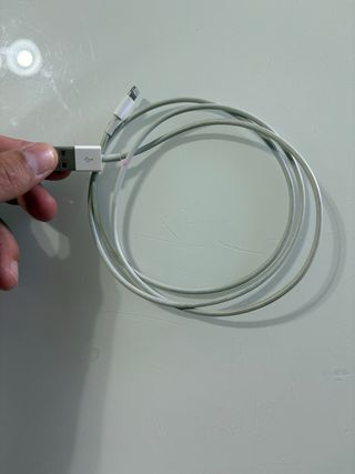 Cavo Lightning Apple - Usato