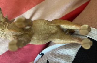 Cervo Schleich: Figurina Animale