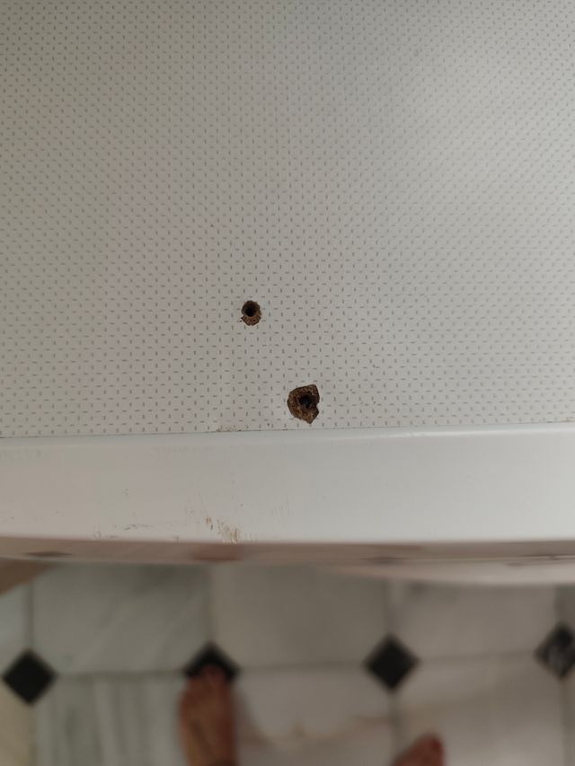 Lavadora Bosch Maxx WFL1362 - 6kg