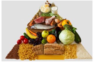 Dietas y nutrición personalizada. Seguimiento.