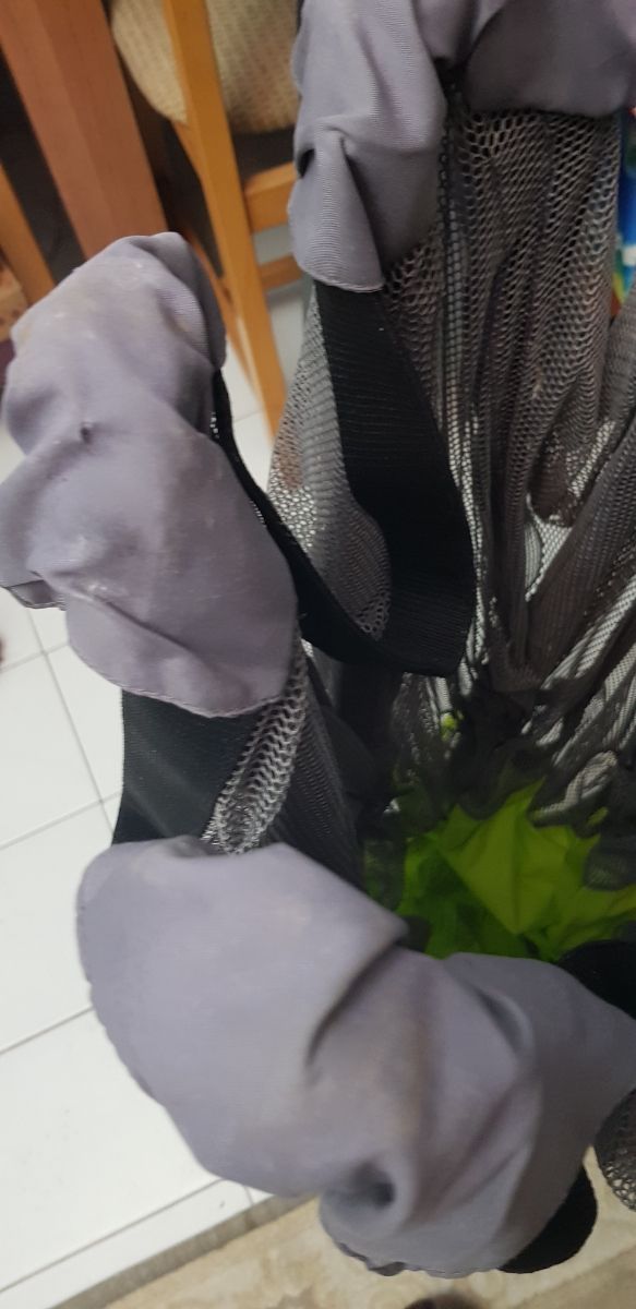 Parque infantil Summer Infant+ regalo!