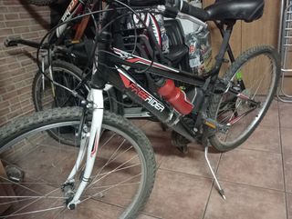 Bicicleta montaña modelo free riders
