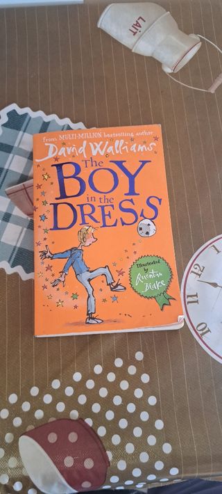 The boy in the dress 