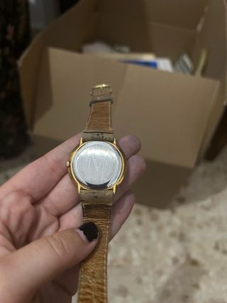 Reloj Viceroy | Cronógrafo Beige/Dorado