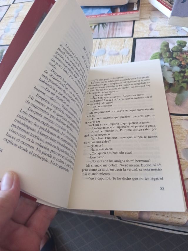 EL COLECCIONISTA DE BESOS