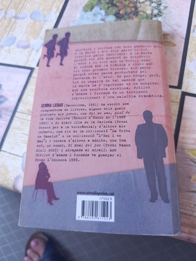 Bitllet d'anada i tornada