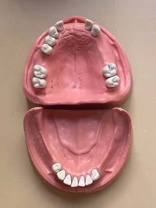 TIPODONTO PARCIALMENTE DENTADO KAVO
