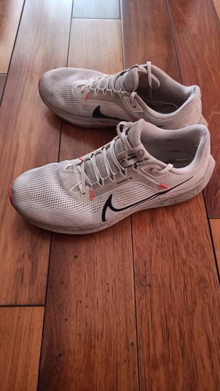 Zapatillas Nike Pegasus 40 Beige