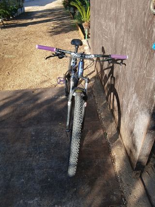 Trek marlin 5 purple flip
