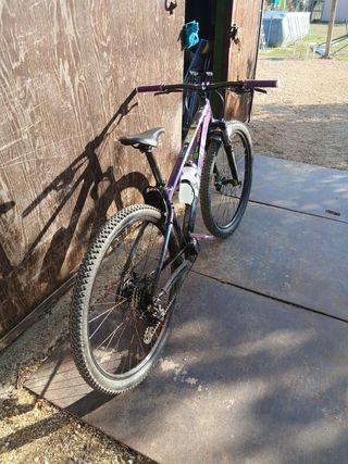 Trek marlin 5 purple flip