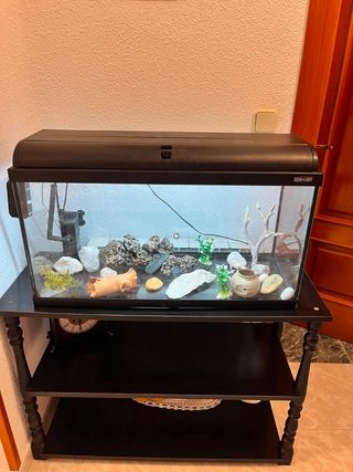 Acuario