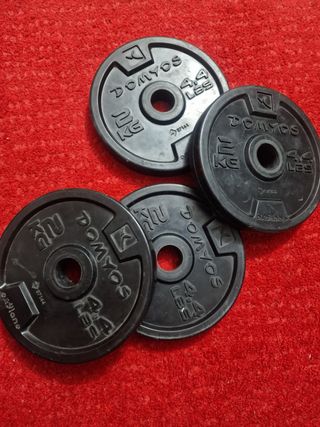 Discos peso 2kg Domyos - 4.4lbs