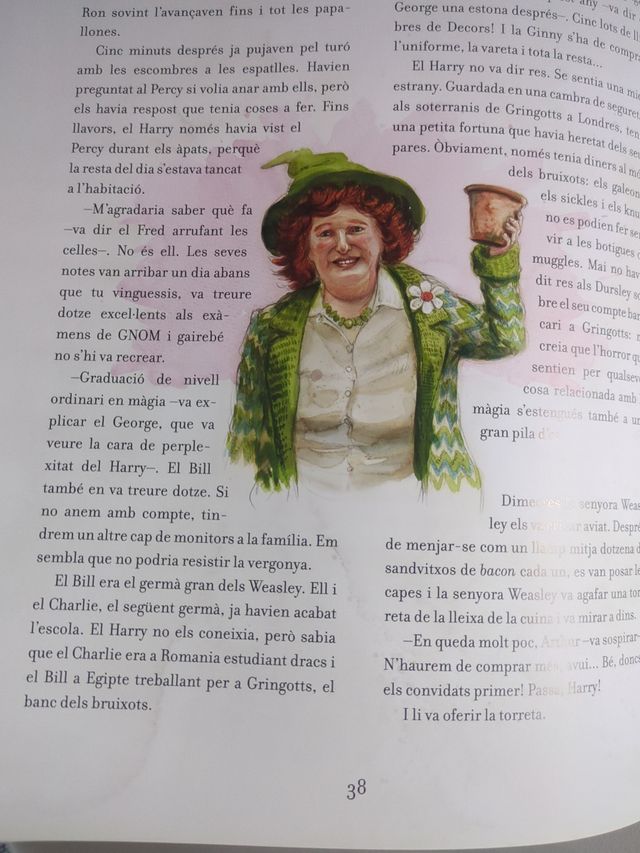 Harry Potter i la cambra secreta (edició il·lus...