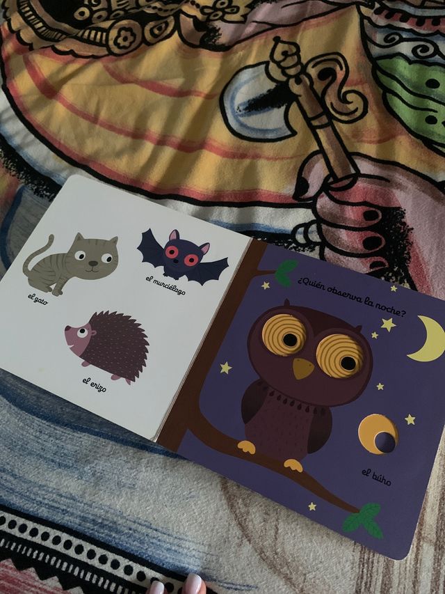 El pequeño libro de la noche