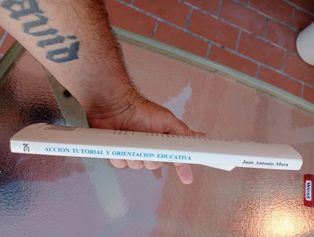 Acción tutorial y orientación educativa