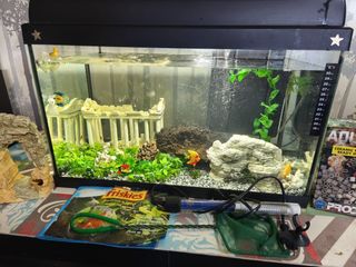 Acuario 60L 